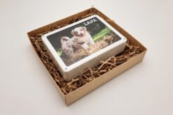 Vaikiškos taupyklės